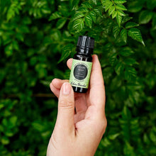 Load image into Gallery viewer, Celery Seed Essential Oil
