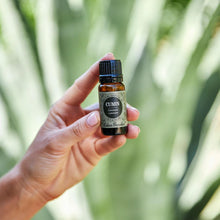 Load image into Gallery viewer, Cumin Essential Oil
