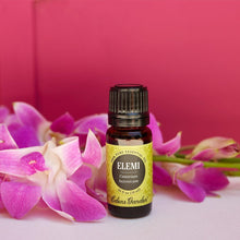 Load image into Gallery viewer, Elemi Essential Oil
