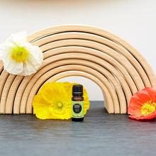Load image into Gallery viewer, Energy Boost Essential Oil Blend
