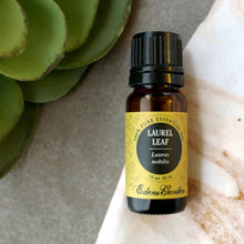 Load image into Gallery viewer, Laurel Leaf Essential Oil
