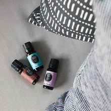 Load image into Gallery viewer, Quiet Time® Essential Oil Blend
