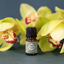 Load image into Gallery viewer, Vitality - Essential Oil Blend Of The Month, August 2020
