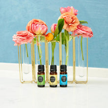 Load image into Gallery viewer, Purify Essential Oil Blend
