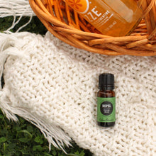 Load image into Gallery viewer, Repel Essential Oil Blend

