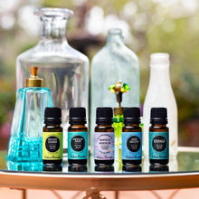 Load image into Gallery viewer, Respiratory Ease™ Essential Oil Blend
