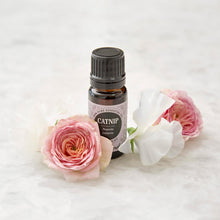 Load image into Gallery viewer, Catnip Essential Oil
