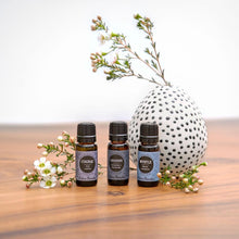 Load image into Gallery viewer, Cognac Essential Oil
