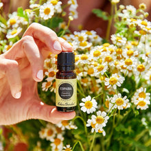 Load image into Gallery viewer, Copaiba Essential Oil
