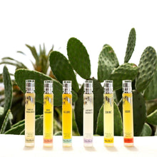Load image into Gallery viewer, Vanilla Sandalwood Natural Perfume
