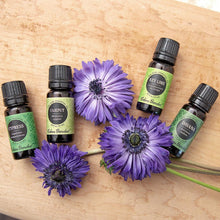 Load image into Gallery viewer, Cypress Essential Oil
