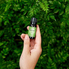 Load image into Gallery viewer, Peppermint Around The World Essential Oil
