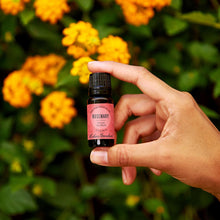 Load image into Gallery viewer, Rosemary Around The World Essential Oil
