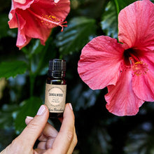 Load image into Gallery viewer, Sandalwood Around The World Essential Oil
